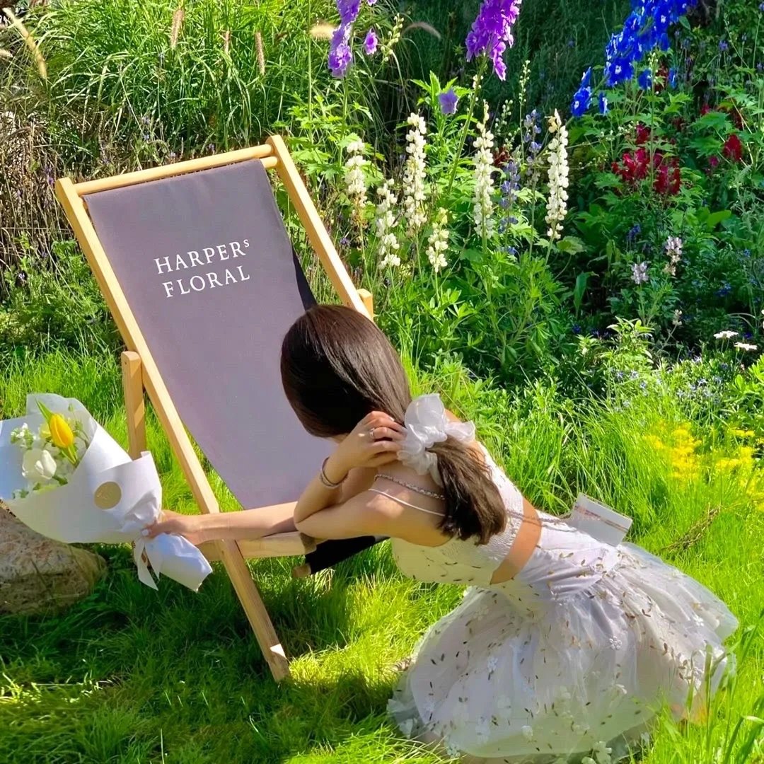 太太的江湖第二季